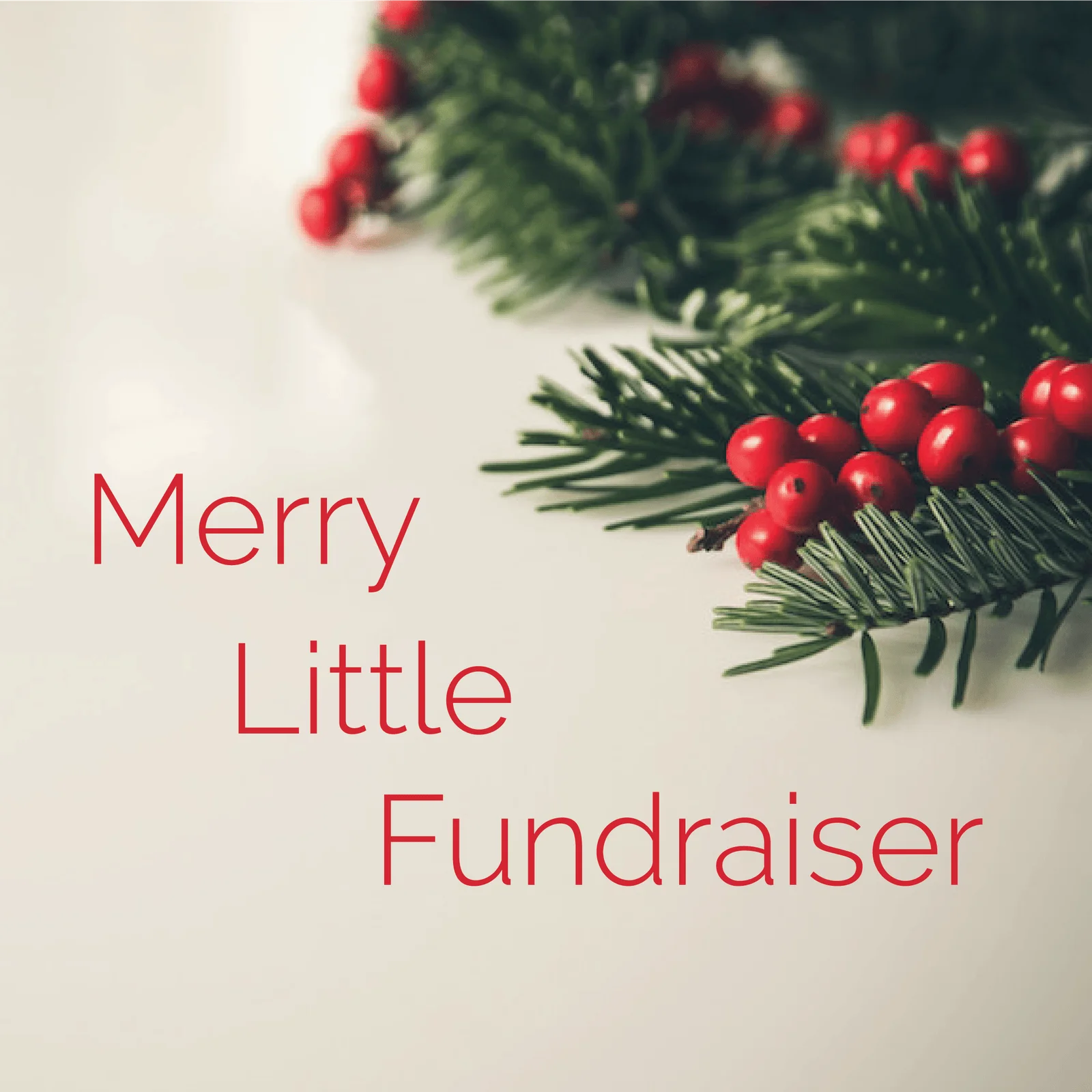 Merry Little Fundraiser 2019